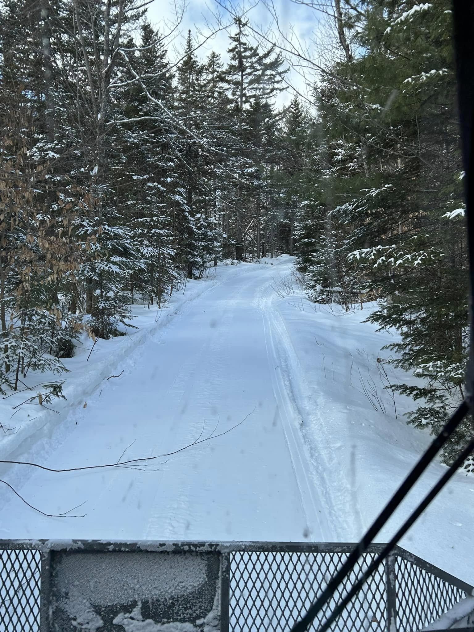 Grooming after fresh snow